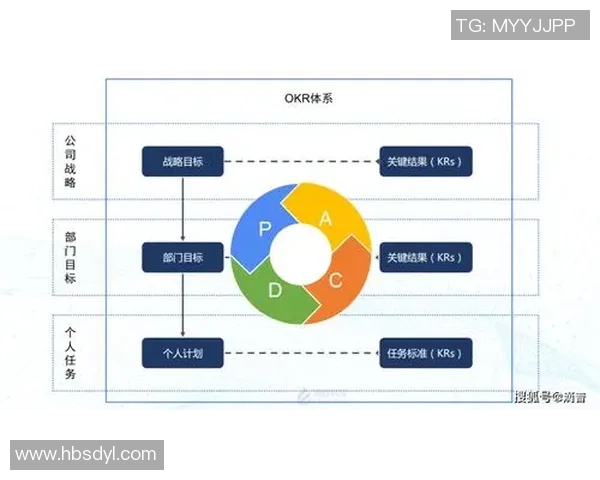 深圳排球队团队协作的成功秘诀与战术分析探讨